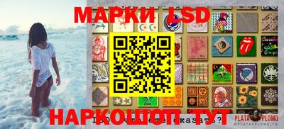 стаф Бердск