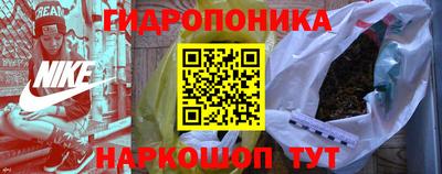 стаф Бердск