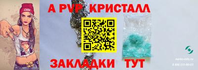 стаф Бердск