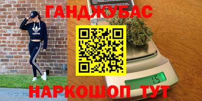 стаф Бердск