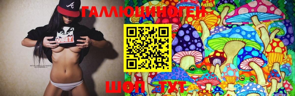 Псилоцибиновые грибы Psilocybe  Псилоцибиновые грибы Psilocybe  Губкинский  Вход с VPN 